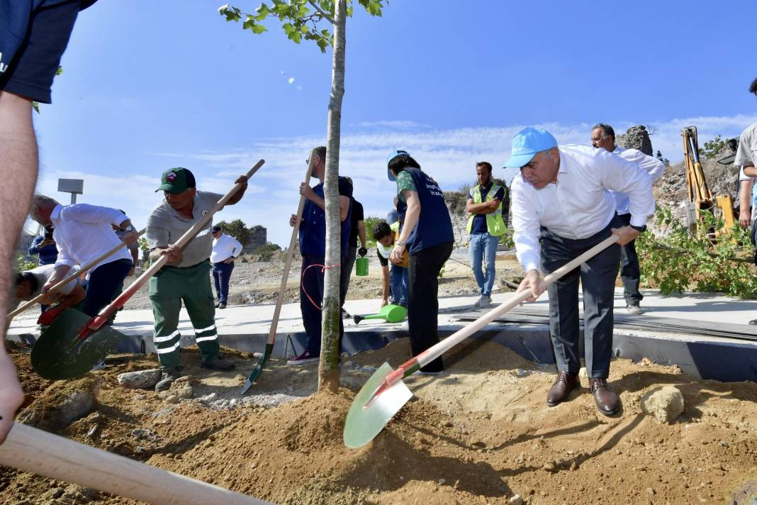 Fatih’te yeşil seferberlik: 2 bin 500 ağaç toprakla buluştu 2